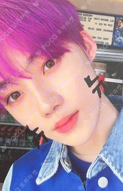 Dreamlike Diy Ver.