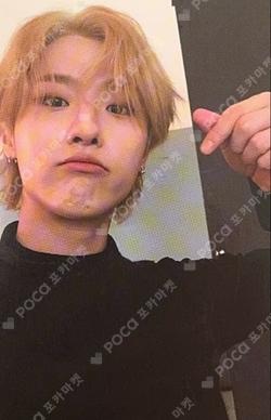 WOOPS! WOODZ photocard image