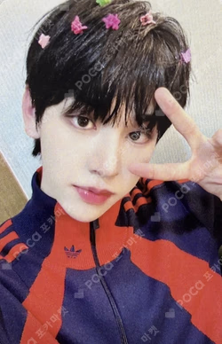 Beautiful MAZE EVERLINE