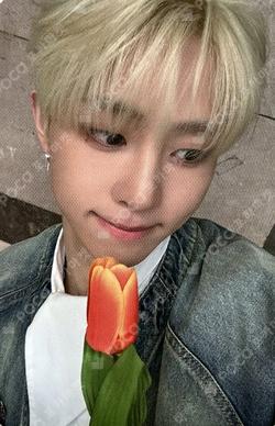 Beautiful MAZE JOEUNMUSIC