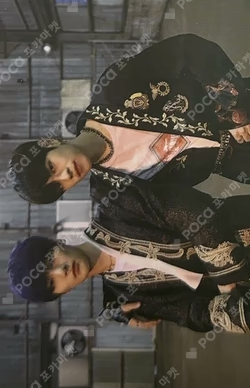 IN生 STANDARD VER.