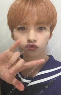 GO生 Streaming Event LEE KNOW photocard image