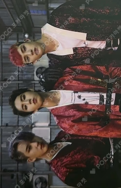 IN生 STANDARD VER.