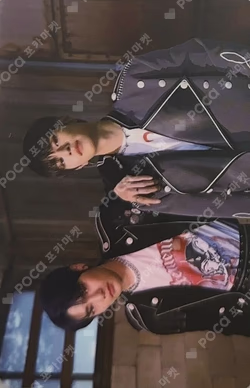 IN生 STANDARD VER.