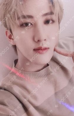 IN生 WITHDRAMA CHANGBIN photocard image