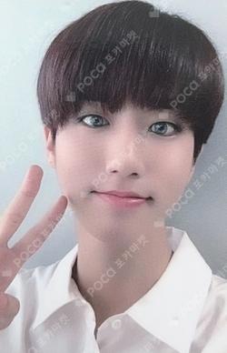 Clé 2 : Yellow Wood MYMUSICTASTE HAN photocard image