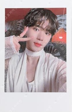 IDENTITY : Action WAVE ver.