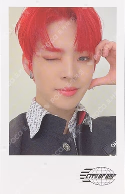 CITY OF ONF POLAROID SET