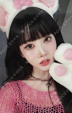 Metamorphic MINIRECORD Sieun photocard image