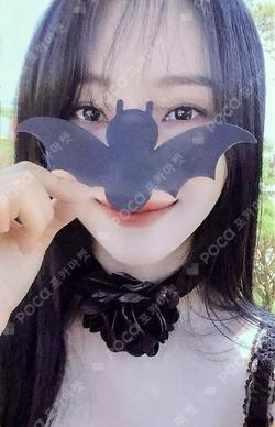 VirtuouS POCA ALBUM SUA photocard image