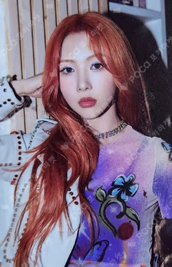 VirtuouS B ver.