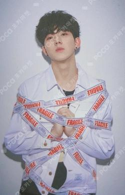 5Th Anniversary Photocard Set