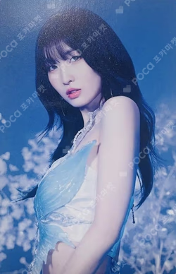 DIVE Regular Edition MOMO photocard image