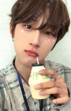 Beautiful MAZE EVERLINE