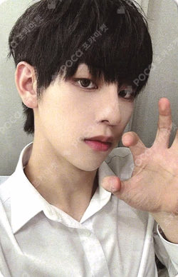 Beautiful MAZE EVERLINE