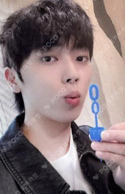 BEAUTIFUL SHADOW SOUND WAVE