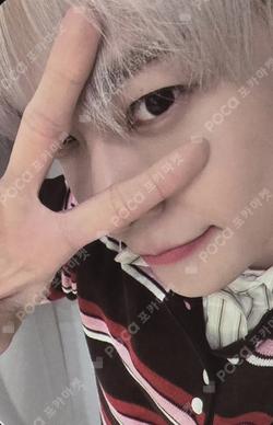 WALK fromm store DOYOUNG photocard image