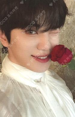 2024 INFINITE FAN MEETING POSTER + PHOTO CARD SET