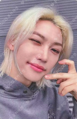 アイドル PHOTO CARD STAND Felix / Stray Kids Stray kids Felix IN LIFE Limited Official photocard photo