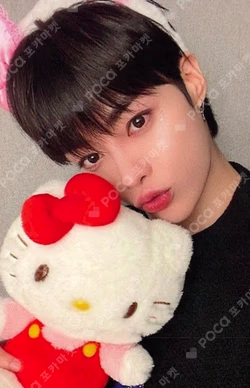 TEMPEST Voyage BEATROAD