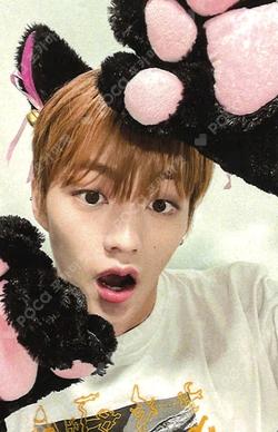 Kick-START Hellolive shop