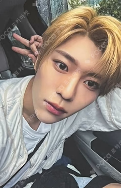 Songbird MYMUSICTASTE