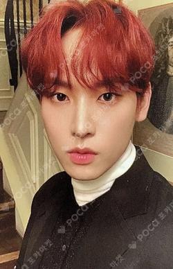 FIRST COLLECTION GOLD RATED