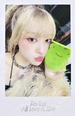 Dall EVERLINE Choerry photocard image