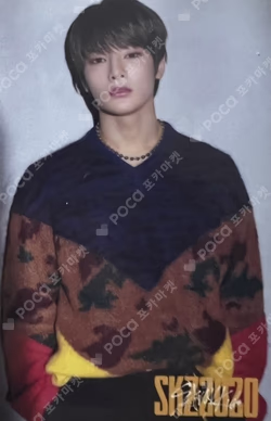 SKZ2020