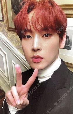 FIRST COLLECTION GOLD RATED