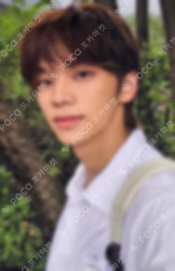 SUMMER BEAT! MUSIC KOREA