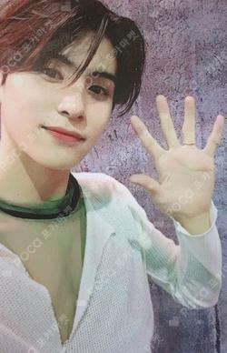 NARCISSUS EMPTINESS ver. YOO TAEYANG photocard image