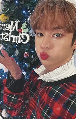 Pocamarket, Stray Kids LEE KNOW Christmas EveL Streaming