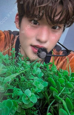 RIIZING WEVERSE JAPAN LUCKY DRAW