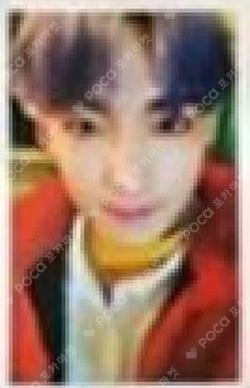 MAMMA MIA! Special Edition ZUHO photocard image