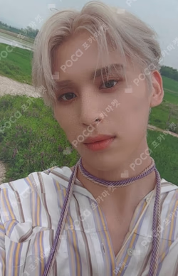 9loryUS GOLDEN CHASER Ver. YOO TAEYANG photocard image