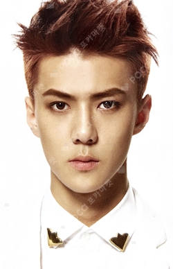 Pocamarket, EXO SEHUN Overdose K-pop Photocard