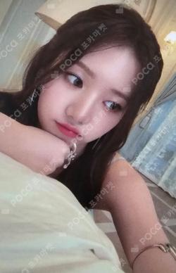 2024 TMEA FESTIVAL WEVERSE