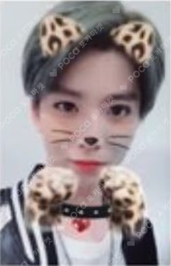 Knights of the Sun BROADCAST