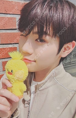 ZEROBASEONE With LINE FRIENDS ZERONI TAENINI DOLL