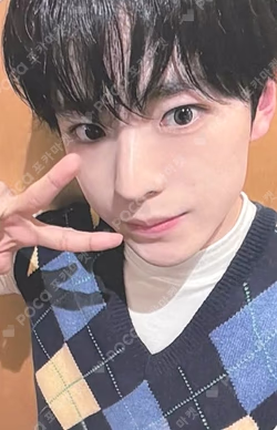 Songbird DEAR MY MUSE