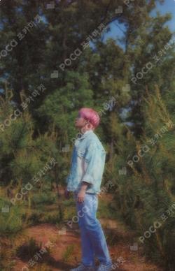 Sneakers SYNNARA RECORD HA SUNG WOON photocard image