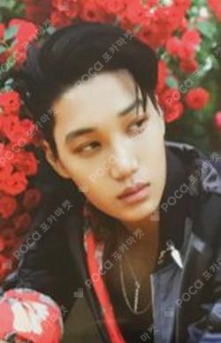 THE WAR CARD WALLET KAI photocard image