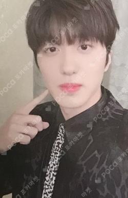 RUMINATION PHOTO CARD HOLDER CHA NI photocard image