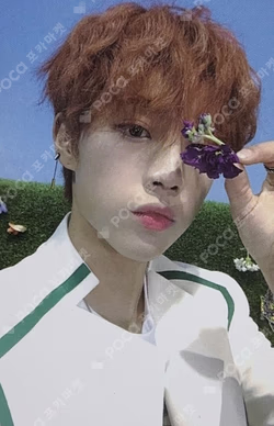 Bloom Bloom Bloom Ver.