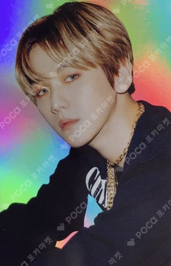 Don't Mess Up My Tempo HOLOGRAM PHOTO CARD SET