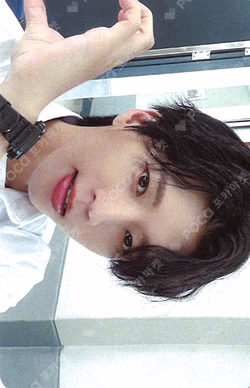 눈부셨다 : The Special Present For WHITREE (식목일 3 Live Ver.) EVERLINE