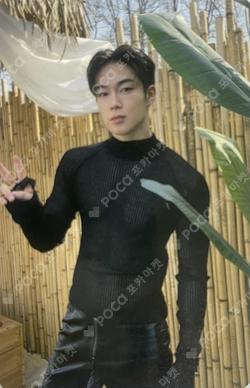 THE WAVE OF9 DEAR MY MUSE