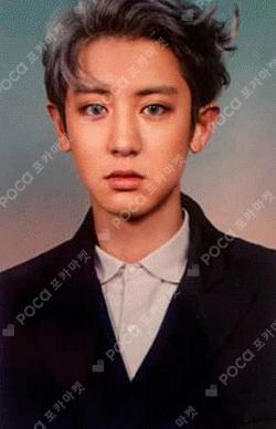 Don't Mess Up My Tempo PASSPORT WALLET CHANYEOL photocard image