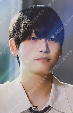 RUMINATION WONDERWALL ARTLAB CONTENTS PACKAGE